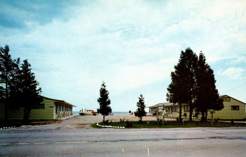 Cedar Lane Motel - Postcard